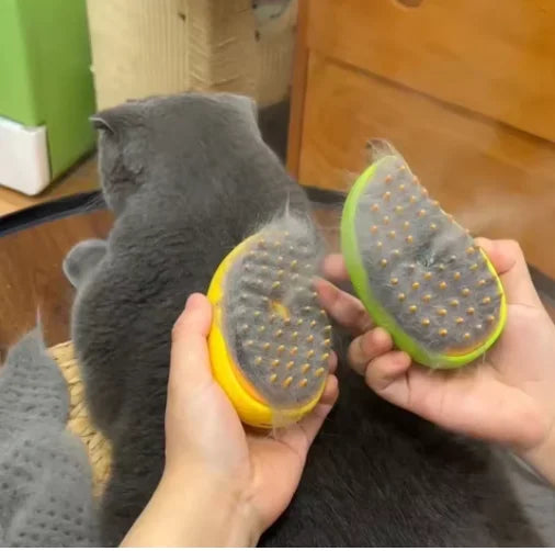 Brosse à vapeur massante pour chat et chien – Outil de toilettage multifonction