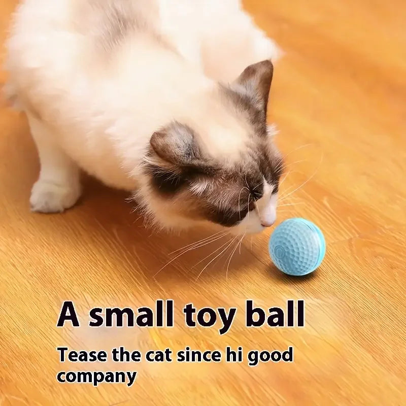 Balle de jeu intelligente pour chat – Roule, bondit et se recharge en USB