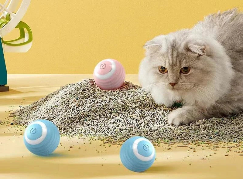 Balle de jeu intelligente pour chat – Roule, bondit et se recharge en USB