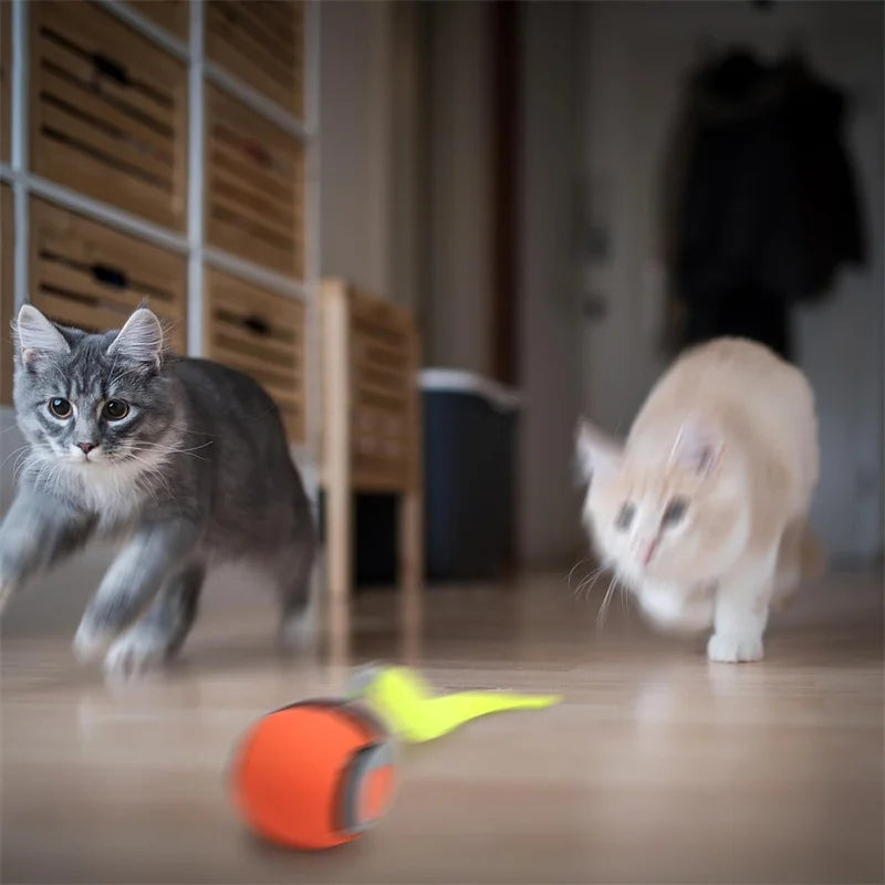 Balle de jeu intelligente pour chat – Roule, bondit et se recharge en USB