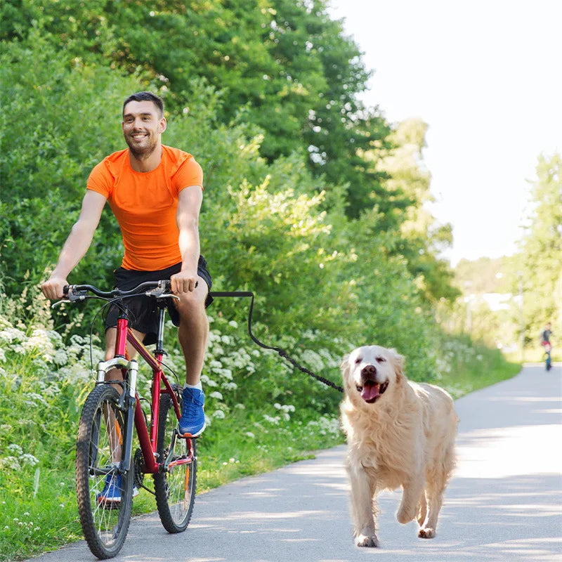 Laisse de vélo pour chien – Système de traction solide et amovible pour promenades sécurisées
