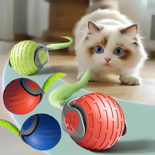 Balle de jeu intelligente pour chat – Roule, bondit et se recharge en USB