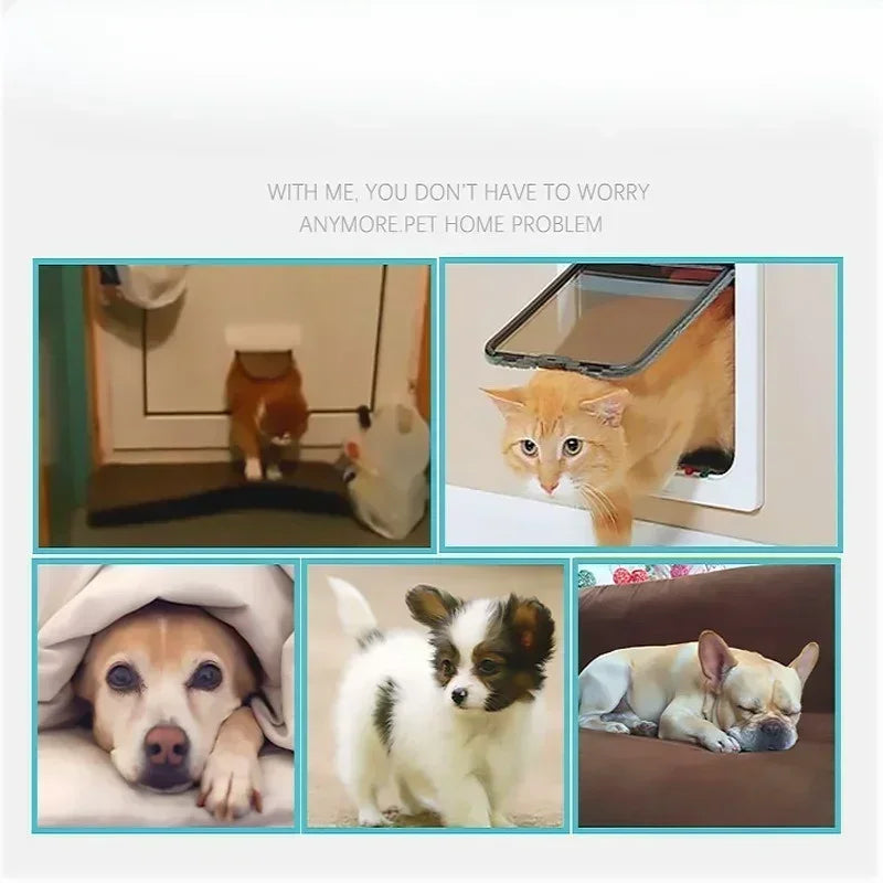 Chatière sécurisée pour animaux – Double ouverture, verrouillage 4 voies et protection météo