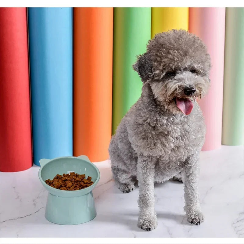 Bol double surélevé pour animaux – Confort du cou, anti-éclaboussures, idéal pour chiens et chats