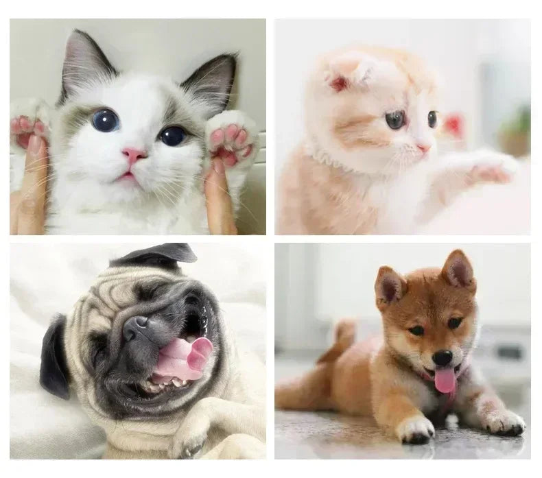 Lit d’Hiver Doux et Chaleureux pour Chats et Petits Chiens