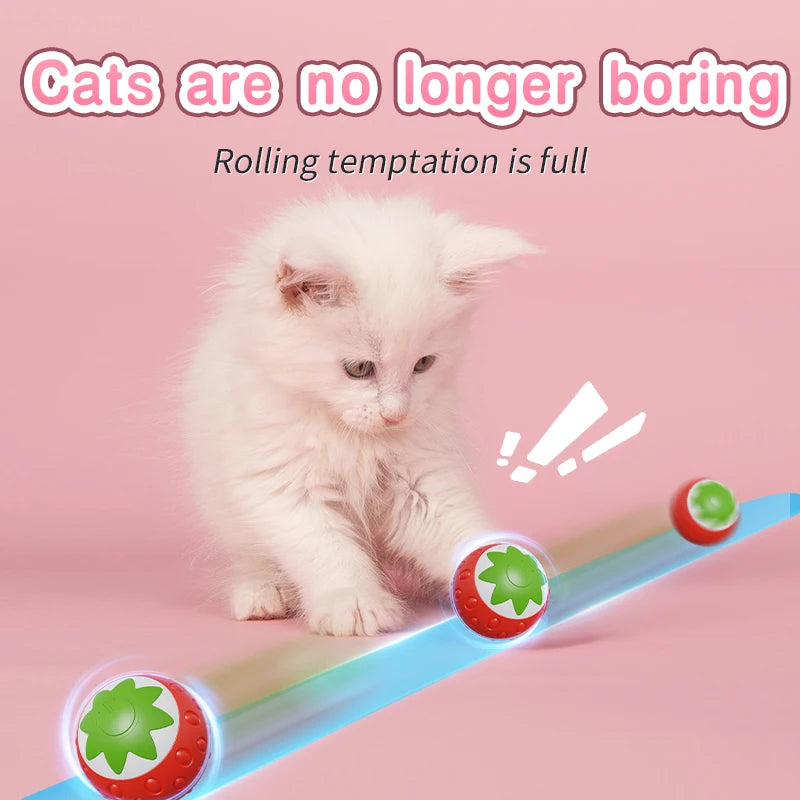 Balle de jeu intelligente pour chat – Roule, bondit et se recharge en USB