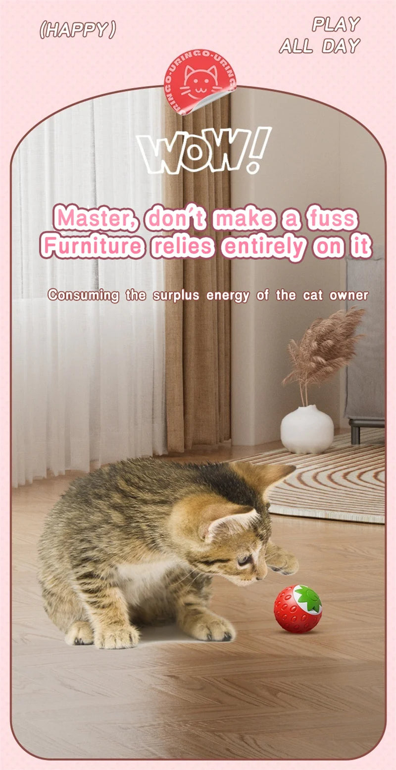Balle de jeu intelligente pour chat – Roule, bondit et se recharge en USB