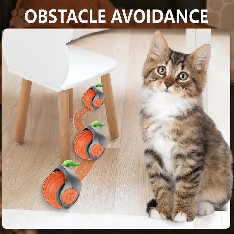 Balle de jeu intelligente pour chat – Roule, bondit et se recharge en USB
