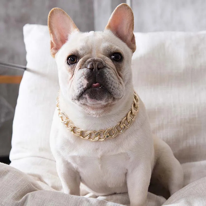 Collier de luxe pour chien – Chaîne plaquée or ou argent, style tendance pour Pitbull, Beagle et Bulldog