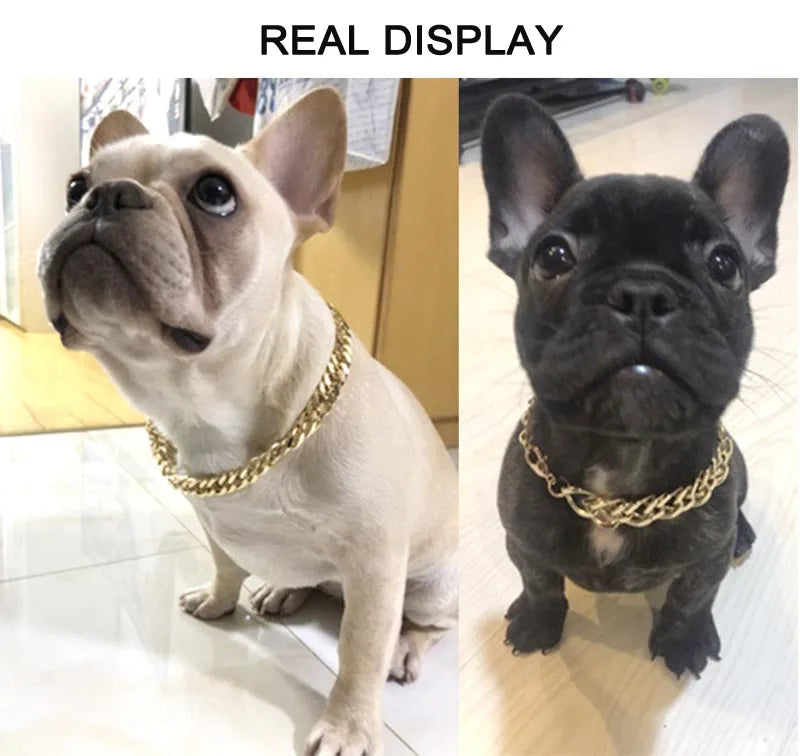 Collier de luxe pour chien – Chaîne plaquée or ou argent, style tendance pour Pitbull, Beagle et Bulldog