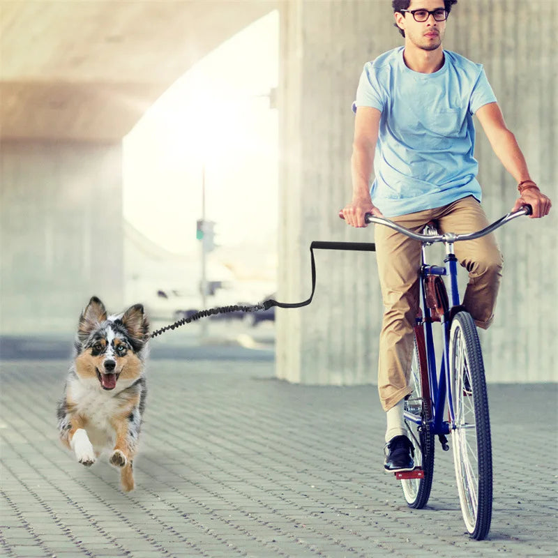 Laisse de vélo pour chien – Système de traction solide et amovible pour promenades sécurisées