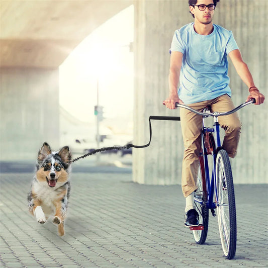 Laisse de vélo pour chien – Système de traction solide et amovible pour promenades sécurisées