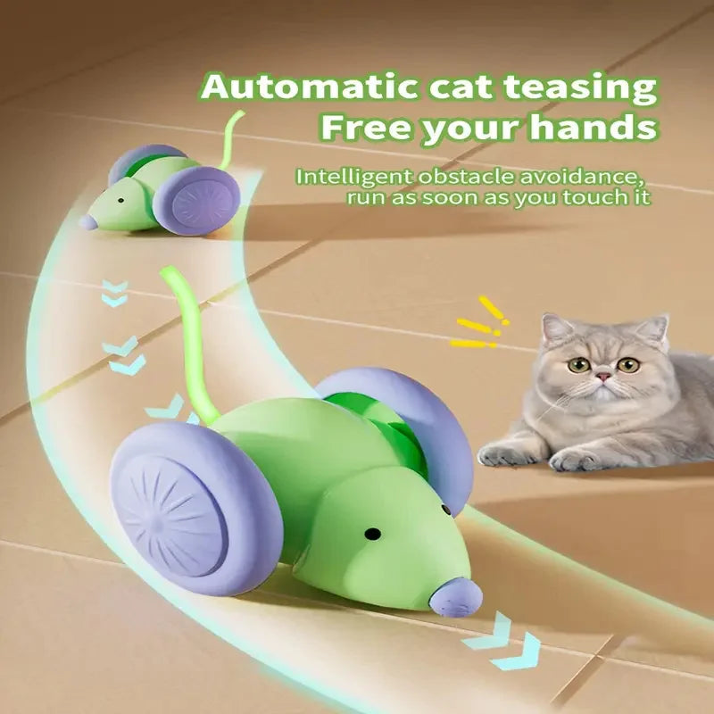 Balle de jeu intelligente pour chat – Roule, bondit et se recharge en USB