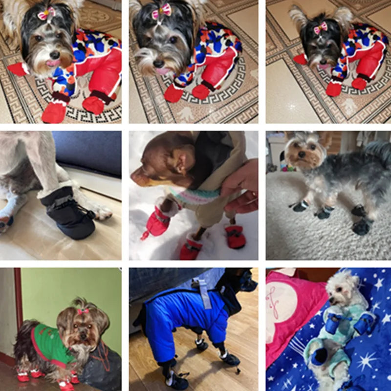 Petites bottes chaudes et imperméables pour pattes de chiots et chats – Lot de 4