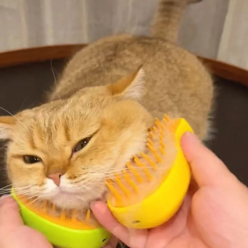 Brosse à vapeur massante pour chat et chien – Outil de toilettage multifonction