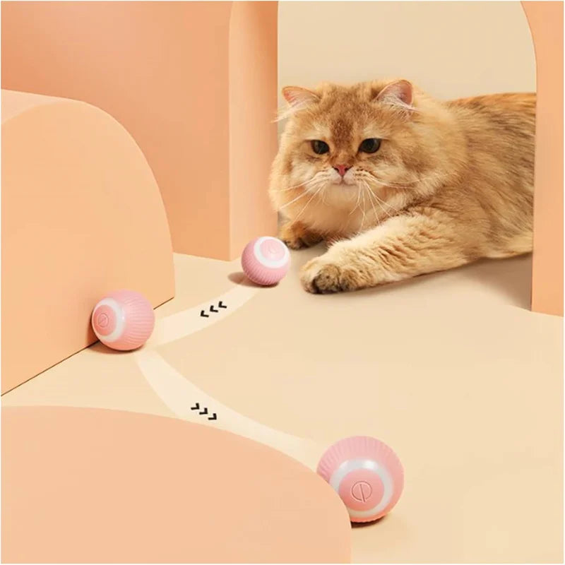 Balle de jeu intelligente pour chat – Roule, bondit et se recharge en USB
