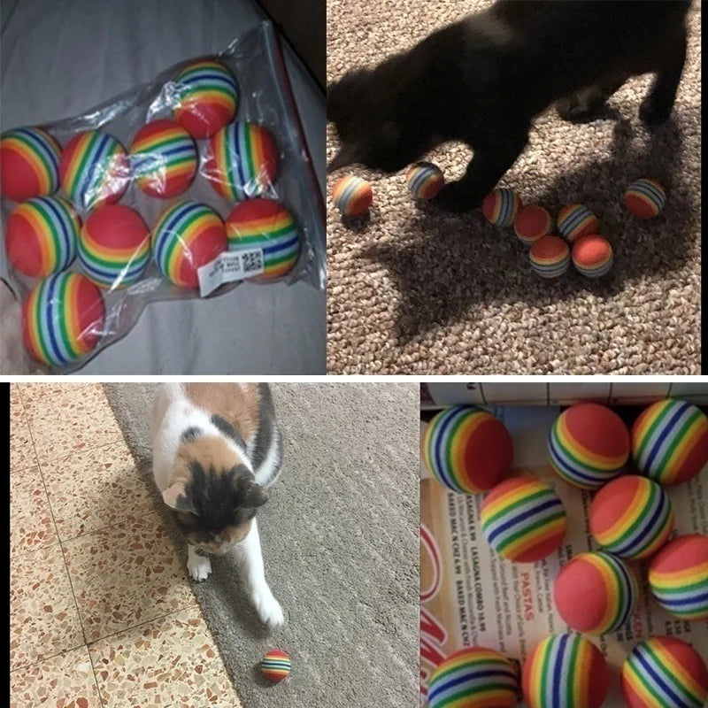 10 pièces de jouet pour animaux de compagnie