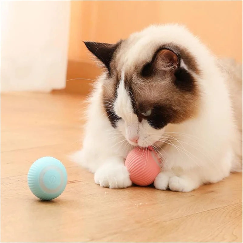 Balle de jeu intelligente pour chat – Roule, bondit et se recharge en USB
