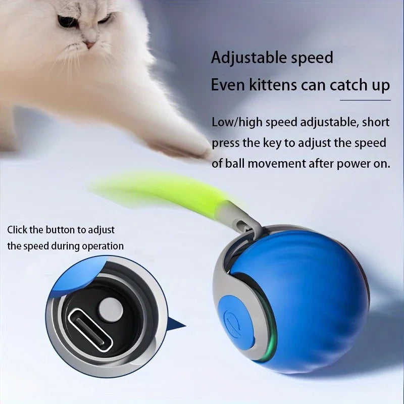 Balle de jeu intelligente pour chat – Roule, bondit et se recharge en USB